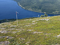 otto_20250803_688f6e587eb30.jpeg