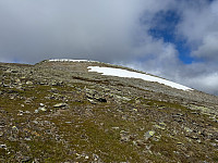 otto_20250826_68adfd36a4813.jpeg