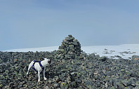 oskalde_20240804_66af5c1db70ff.jpg