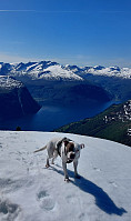 oskalde_20240804_66af643585144.jpg