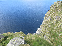 oskalde_20240810_66b723702c443.jpg