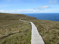 oskalde_20240810_66b723732bacf.jpg