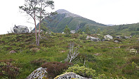 oskalde_20240810_66b769f1bd0a8.jpg