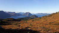 oskalde_20240810_66b77d961677d.jpg