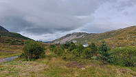 oskalde_20240814_66bcffbab49b7.jpg