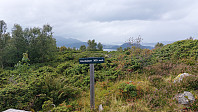 oskalde_20240817_66c0e42556a86.jpg