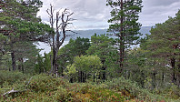 oskalde_20240817_66c0e4d675a67.jpg