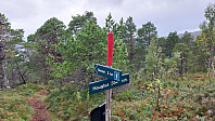 oskalde_20240818_66c22f5d8519f.jpg