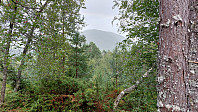 oskalde_20240818_66c2343908146.jpg