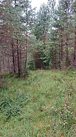 oskalde_20240818_66c2343ad6216.jpg