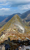 oskalde_20240908_66ddce348a865.jpg