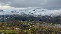 oskalde_20241013_670bfb388a461.jpg