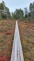 oskalde_20241013_670bfd4262113.jpg
