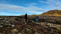 oskalde_20241109_672faa1e96221.jpg