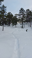 oskalde_20241124_674352dbc7f01.jpg
