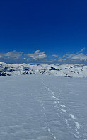 oskalde_20250511_68210228cdb3e.jpg
