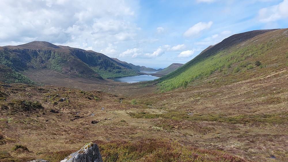 Sædalen
