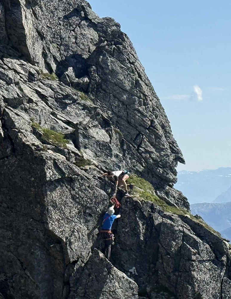 Klyving før svaet