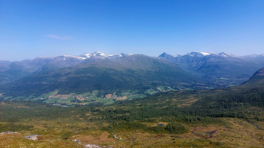 Gulkoppen