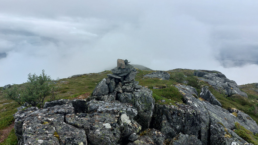 Bjørnasethornet