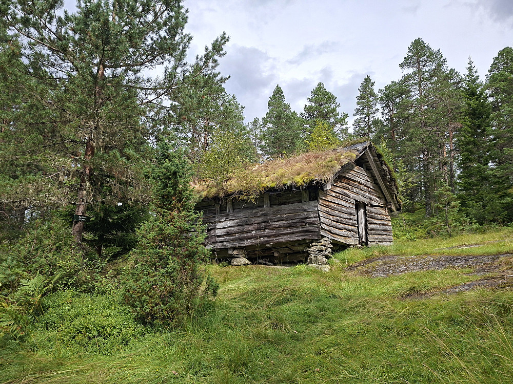 Kongsviksætra