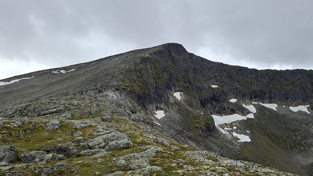 Vardeggja
