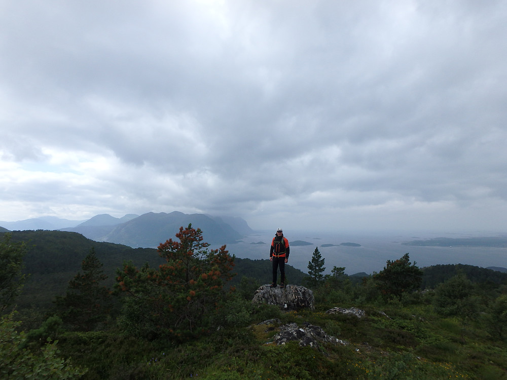Storklauva