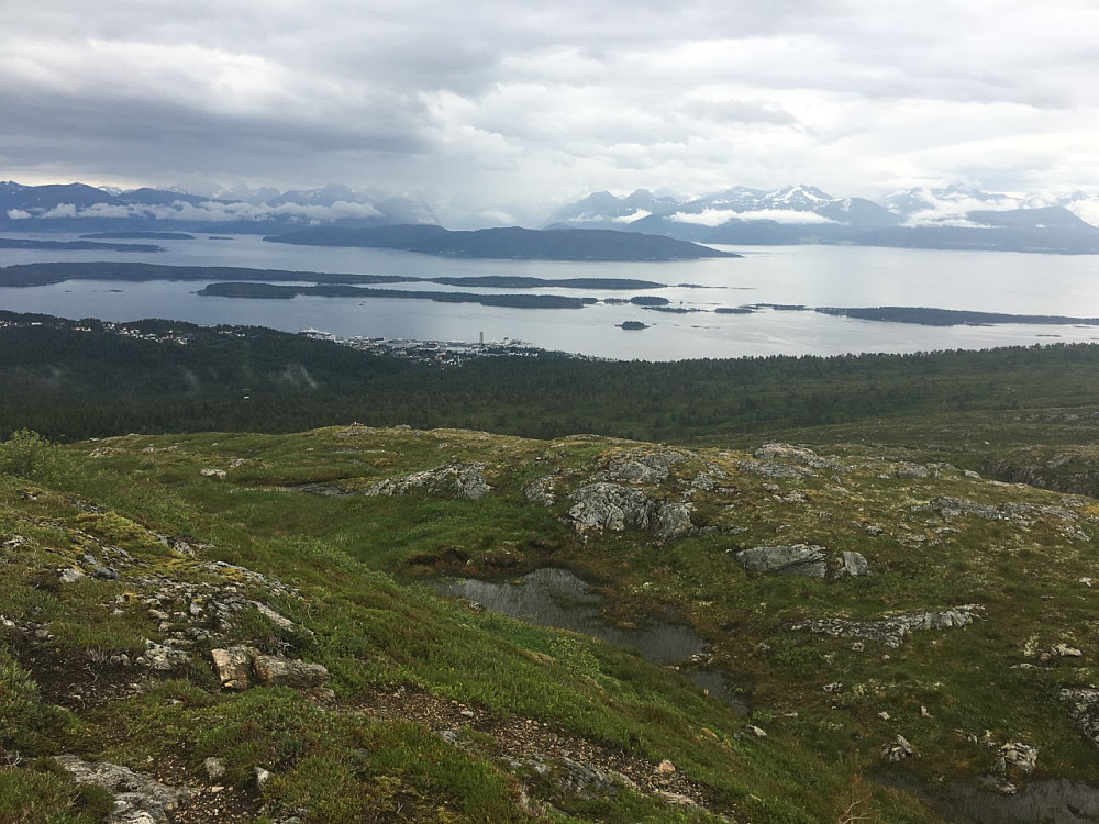 Tågheia