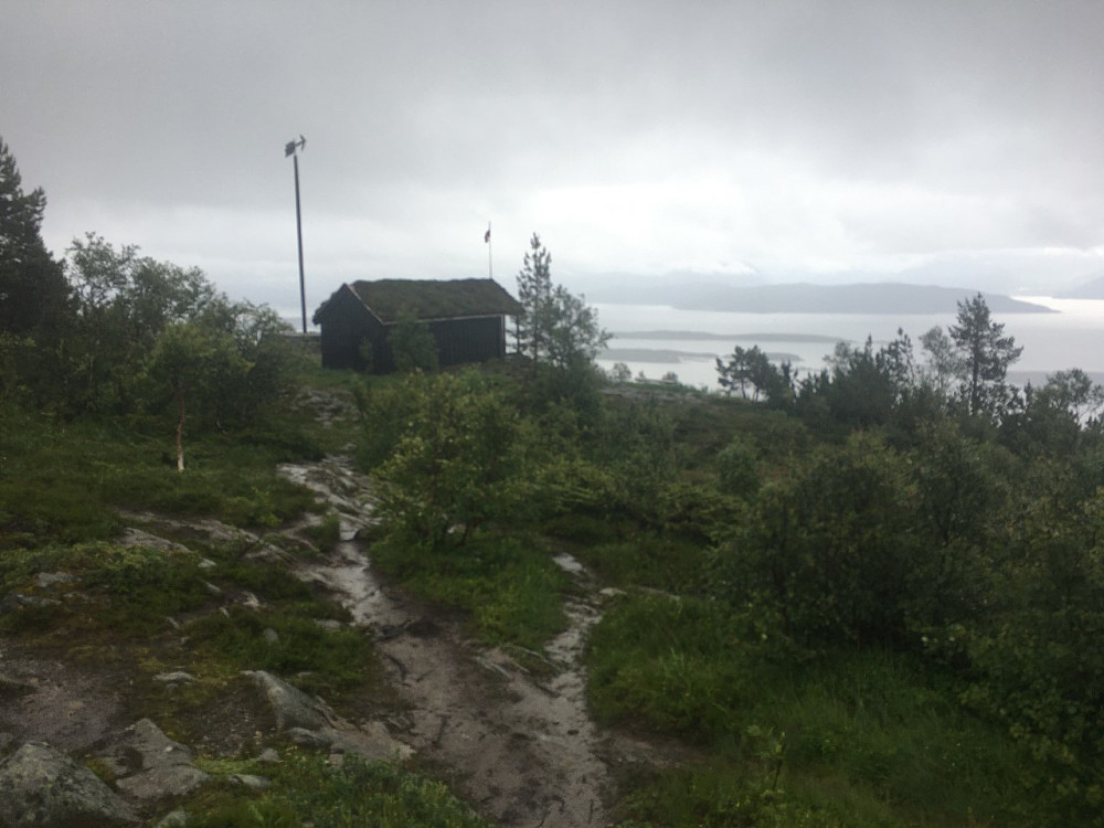 Grått vær
