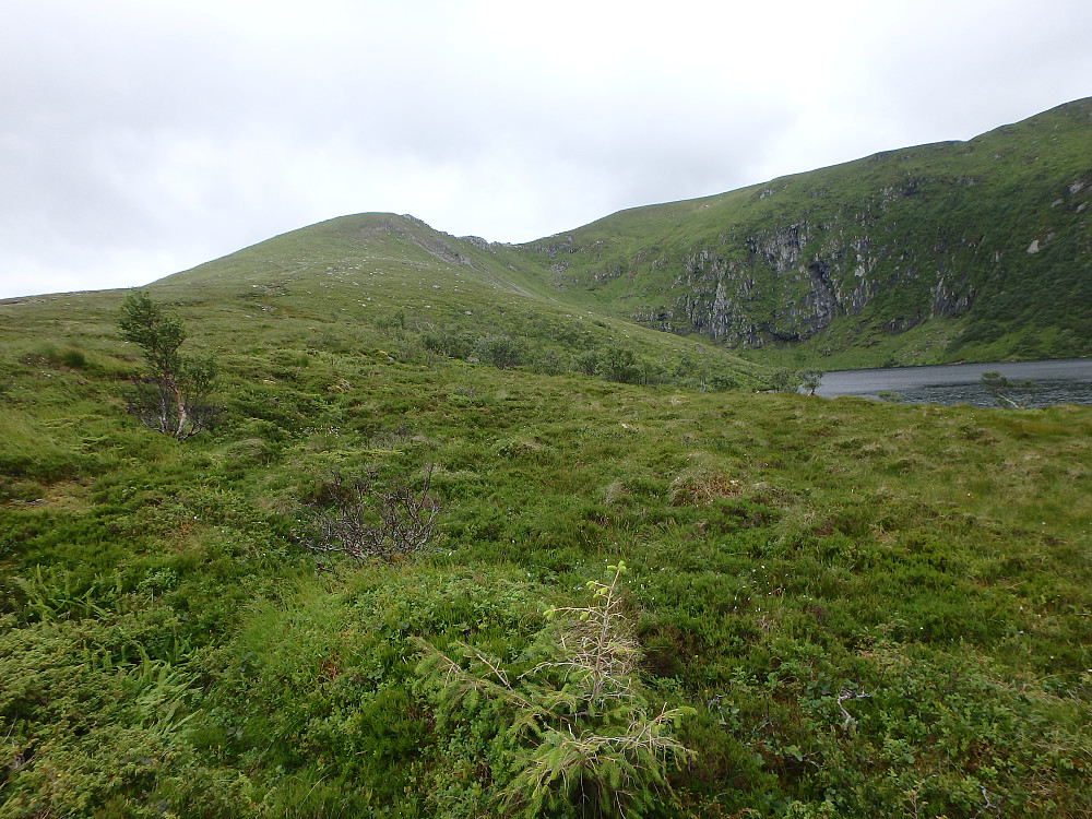 Kyrhaugen sett fra Skottenvatnet.