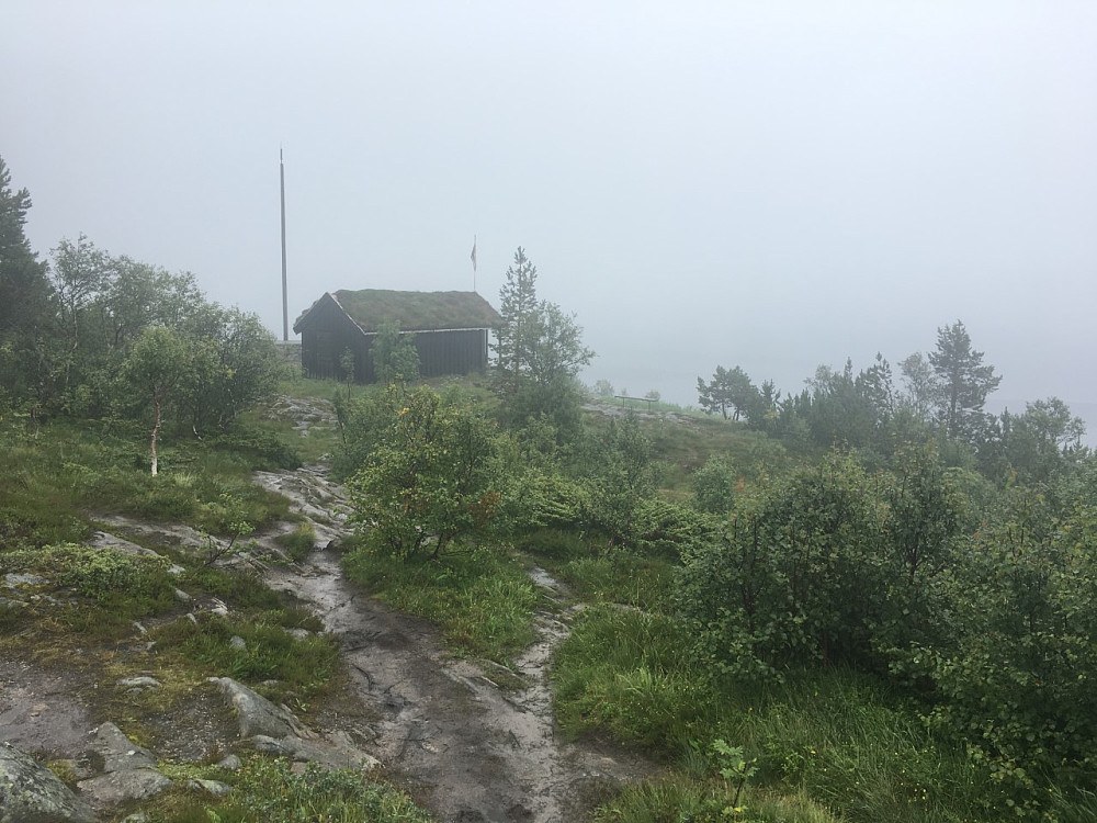 Grått