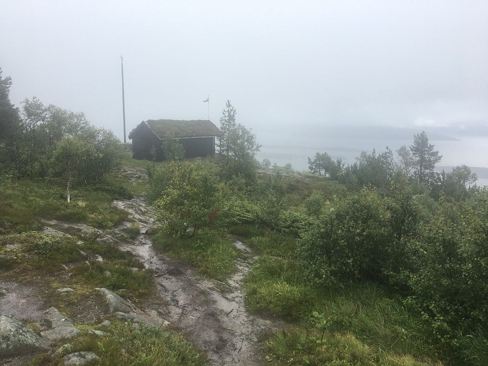 Grått