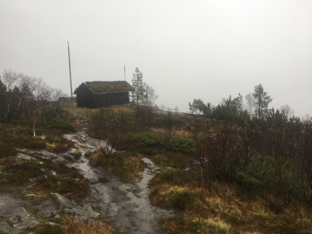 Grått