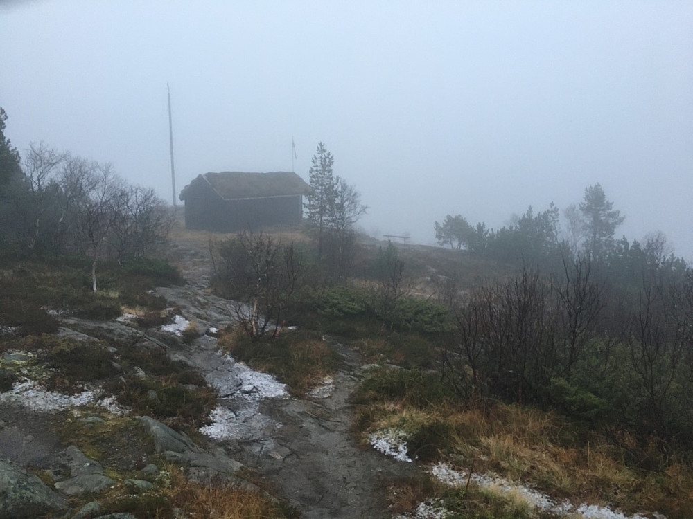 Grått