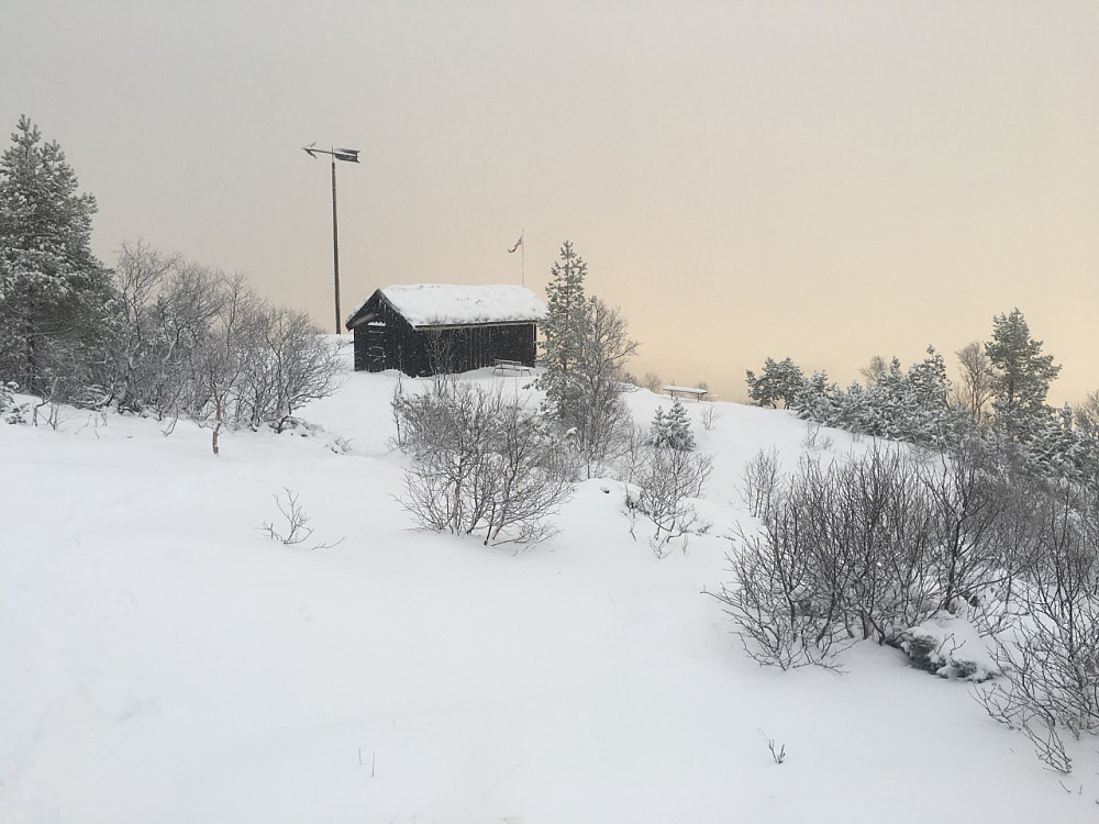Vinter