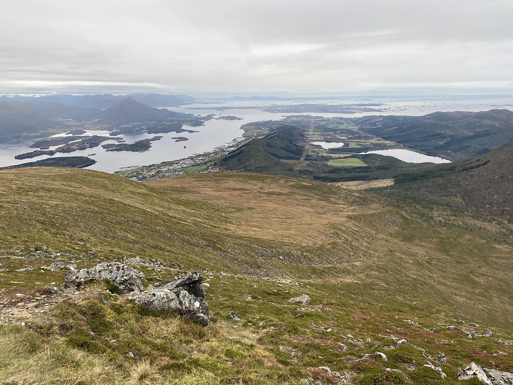Høgheia