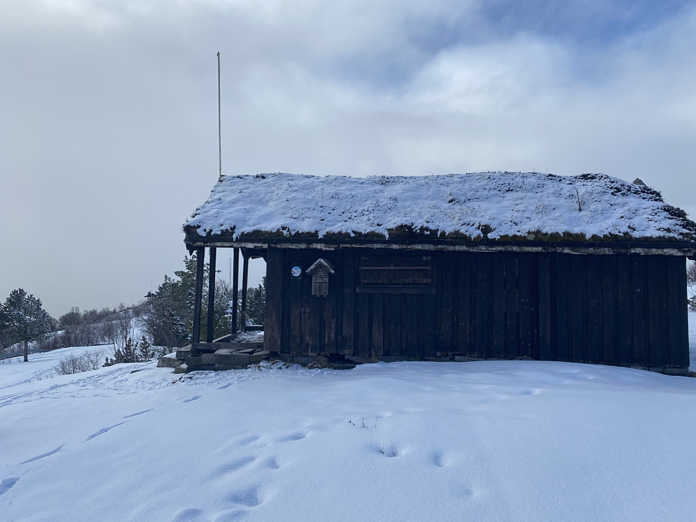 Nysnø.