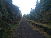 Øverst i Krokkleiva.