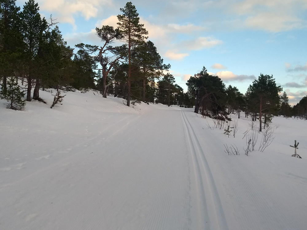 Trikkeskinner opp Hindalen.