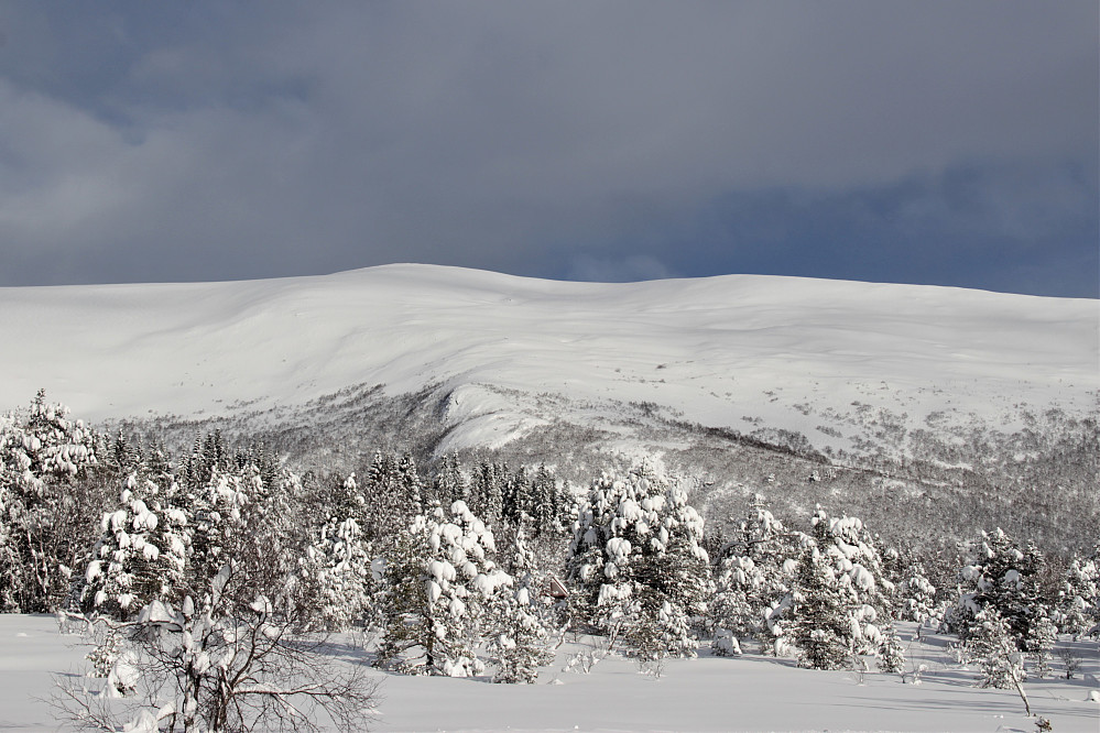 Urfjellet