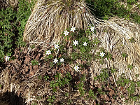 GeirI_20230520_6468c4cb565f2.jpg