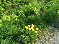 GeirI_20230618_648eca877985f.jpg