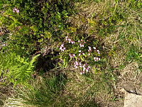 GeirI_20230618_648eca8a11bd6.jpg