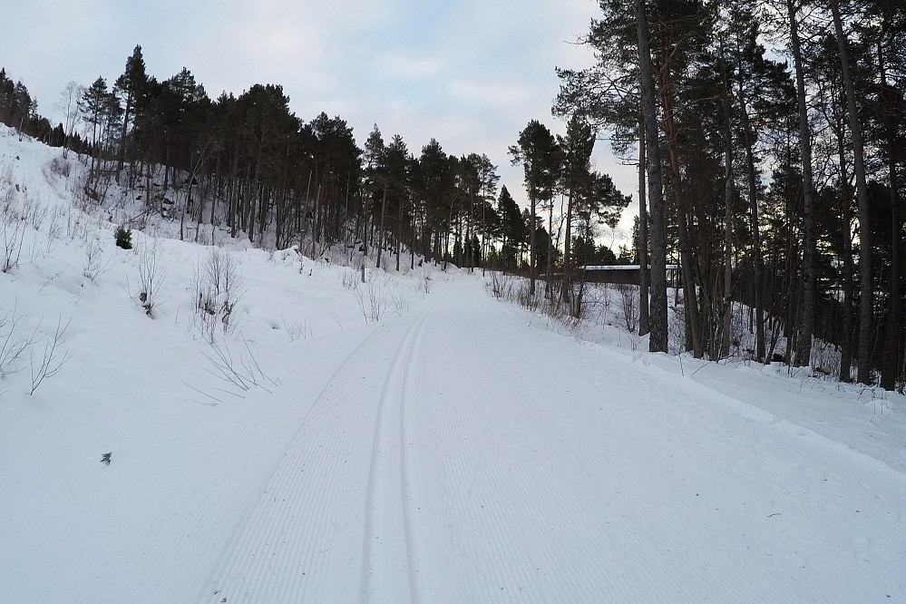 Liavegen