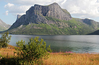 GeirI_20240824_66c9cc8497159.jpg