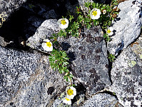 GeirI_20250711_687122992ddcf.jpg
