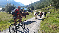 JoSo_20210719_60f52fbd4c195.jpg