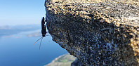 JoSo_20210801_6106492e9148e.jpg