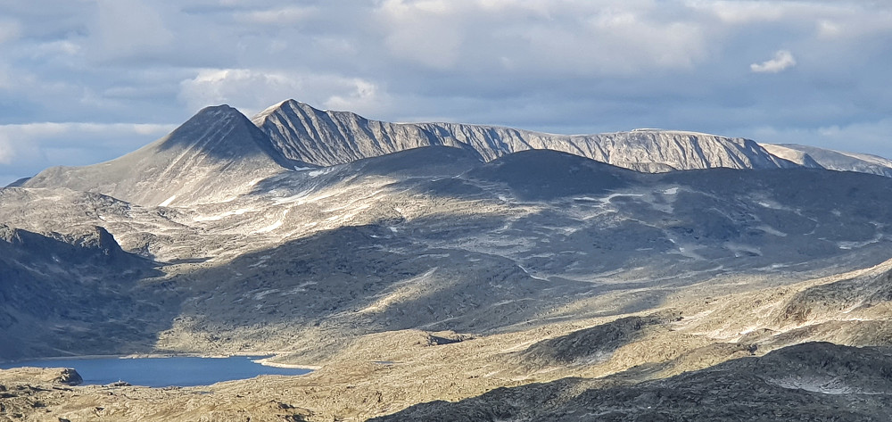 Hestbreapiggene
