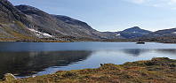 JoSo_20210830_612cd1880f670.jpg